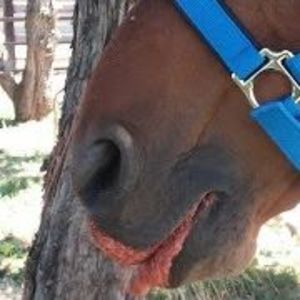 Meet your Posher, Teresa